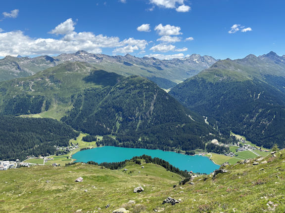 view